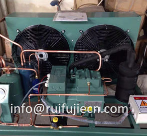 comprare Unità - unità del condensatore raffreddata aria di Spb09kl Bitzer per il modello 4Tes-9y online manufacture