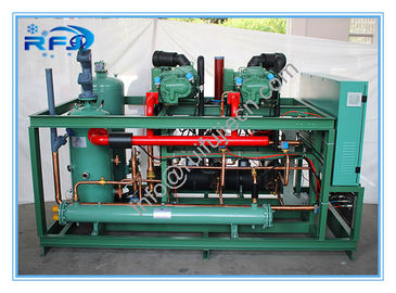 comprare Due modello DM2B20RFL dell'unità R404A 380V 50HZ del condensatore del dispositivo di raffreddamento del compressore a vite online manufacture