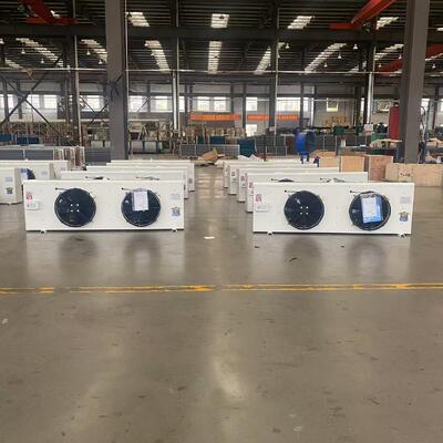 comprare DL30 6.5kW Parete montato Cooler d'aria evaporatore per 30m2 Cold Storage online manufacture