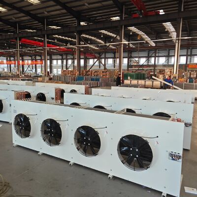 comprare DL340 Air Cooler ad alta efficienza per super grandi depositi commerciali a freddo online manufacture