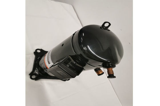 comprare Compressore di refrigerazione della cella frigorifera di ZF11KQE-TFD-551 1.7Amps 3.6HP online manufacture