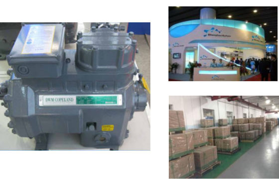 comprare compressore ermetico D6ST-320X Belgio  di refrigerazione dei semi 32HP online manufacture