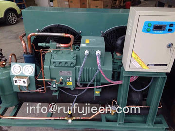 L'aria del compressore di Bitzer ha raffreddato il modello Spb12km della stanza conservazione frigorifera/dell'unità di condensazione