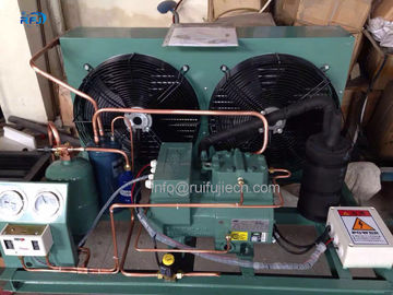 Tipo medio tipo unità di condensazione di bassa temperatura V dell'alloggio del condensatore del compressore di Bitzer