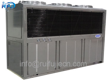 Bitzer 4TES-12Y nell'unità di condensazione del condensatore a forma di scatola di V per la stanza del congelatore