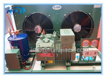 I dati tecnici dell'aria di Bitzer hanno raffreddato le unità della refrigerazione/l'unità di condensazione condensatore del compressore