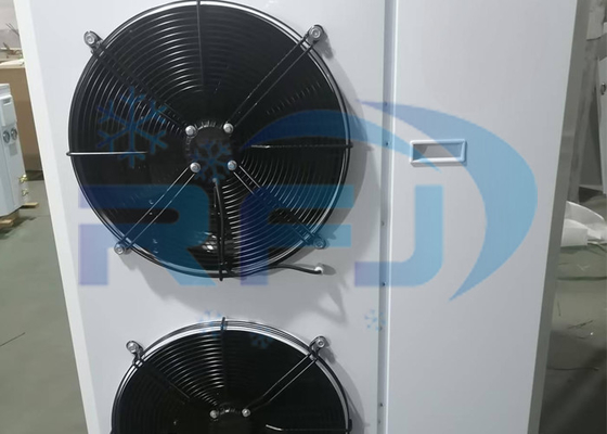 Unità di condensazione di refrigerazione a temperatura media-alta R404A R22