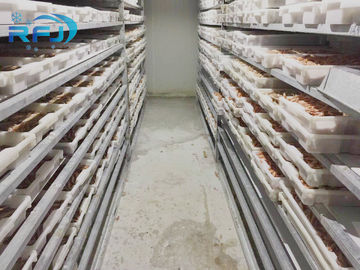 Piccola passeggiata di scoppio del piatto del tunnel del tonno fresco nel pannello di contatto industriale di freddo di Iqf dei frutti di mare del congelatore