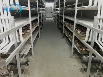 Cella frigorifera industriale dell'isolamento termico gli impiegati da -60~-0 gradi per stoccaggio pesce/della carne