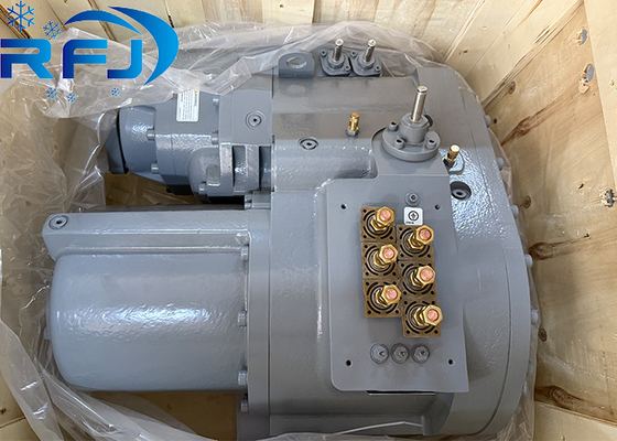 Compressore a vite Carlyle serie 06N