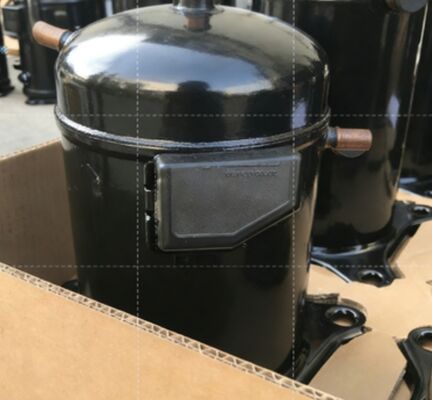 Nuovi compressori originali ZF49KQE-TFD-564 di refrigerazione di bassa temperatura di