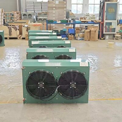FNH2-70 Congelatore Profondo ad Alte Prestazioni Condensatore